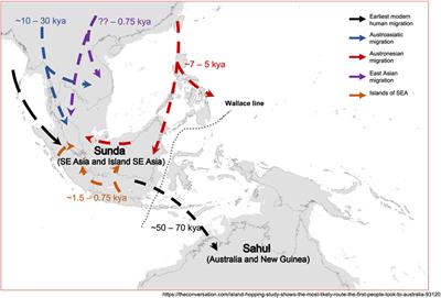 The Peopling and Migration History of the Natives in Peninsular Malaysia and Borneo: A Glimpse on the Studies Over the Past 100 years